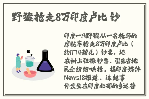 y1uan大家庭